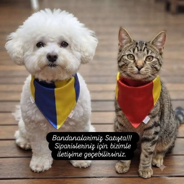 Lacivert ve sarı bandanalı köpek ile kırmızı ve sarı bandanalı kedi